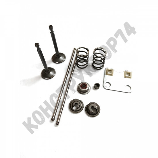 Клапана в сборе для двигателя LIFAN 168F, 168F-2, 170F, HONDA GX160 (ремкомплект) Клапана в сборе для двигателя LIFAN 168F, 168F-2, 170F, HONDA GX160 (ремкомплект)