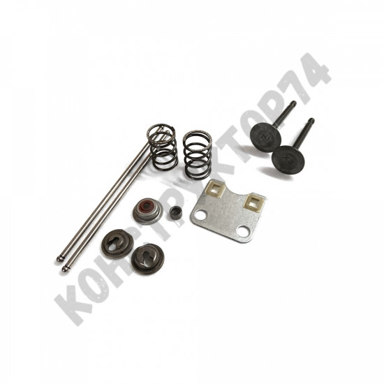 Клапана в сборе для двигателя LIFAN 168F, 168F-2, 170F, HONDA GX160 (ремкомплект) Клапана в сборе для двигателя LIFAN 168F, 168F-2, 170F, HONDA GX160 (ремкомплект)