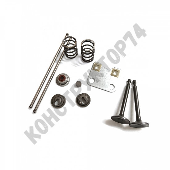 Клапана в сборе для двигателя LIFAN 168F, 168F-2, 170F, HONDA GX160 (ремкомплект) Клапана в сборе для двигателя LIFAN 168F, 168F-2, 170F, HONDA GX160 (ремкомплект)