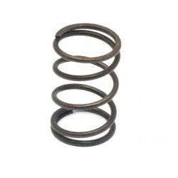 Пружина клапана для двигателя LIFAN 168F, 168F-2, HONDA GX160