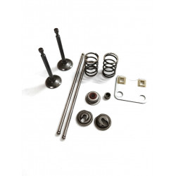 Клапана в сборе для двигателя LIFAN 168F, 168F-2, 170F, HONDA GX160 (ремкомплект)