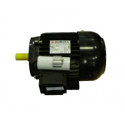 Мотор л.с. 1,5 V.230 / 50 1Ph для дизельной пушки MASTER BV 460 E