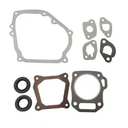 Прокладки (комплект) С САЛЬНИКАМИ для двигателя LIFAN 168F, HONDA GX160
